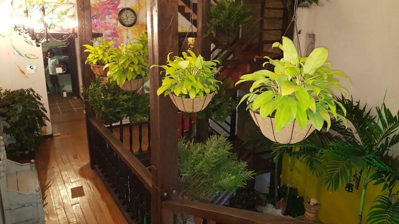 Hotel Terraza De San Antonio 3*